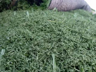 Venta césped artificial