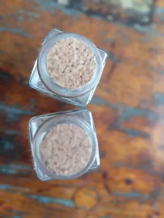 2 Barattoli Vetro Albero della Vita