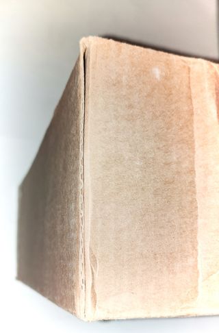 SEGA MEGA DRIVE 16BIT CARTÓN INTERIOR