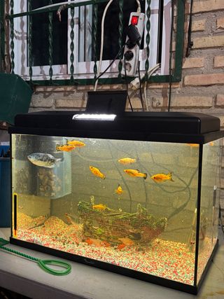 Acquario Nero con Accessori 65 Litri