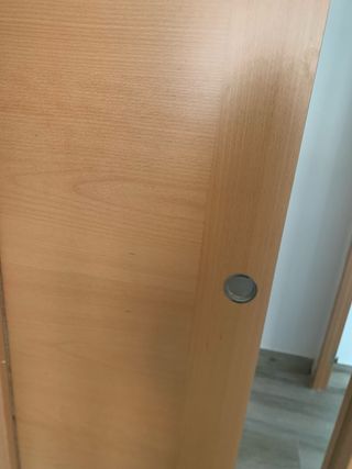 Puerta corredera de 72x201 cm y puerta de 62,5cm