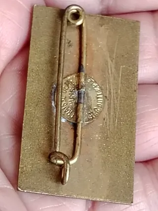 Insignia esmaltada Mont-Revard Aix-les-Bains