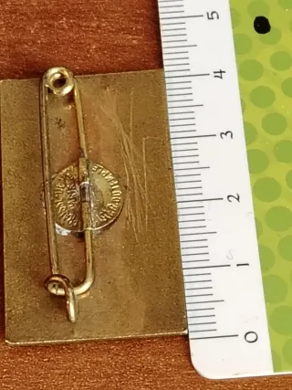 Insignia esmaltada Mont-Revard Aix-les-Bains