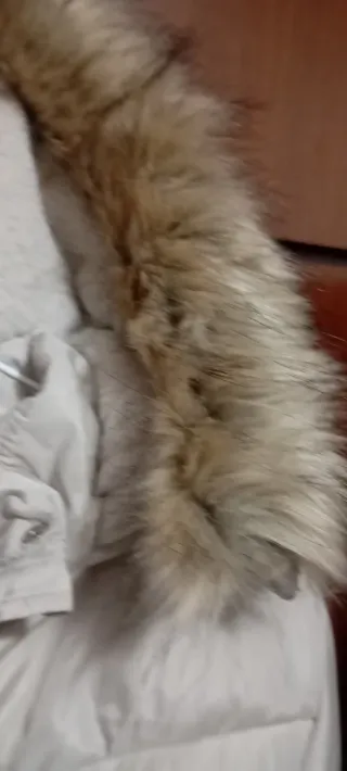 Chaqueta beige con cinturón y capucha (172 cm )