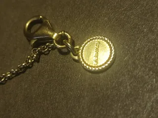 Cadena Aristocrazy bañada en oro