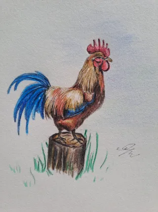 Originale disegno a matita gallo in campagna