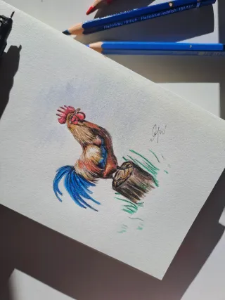 Originale disegno a matita gallo in campagna