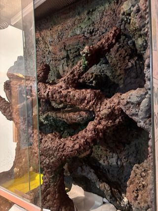 Terrario Grande para Serpiente