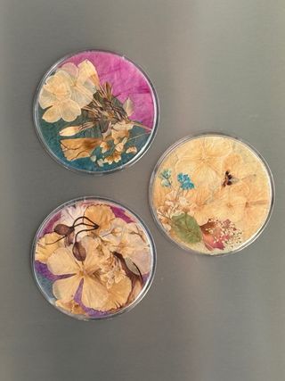 Set 3 Imanes Flores Secas