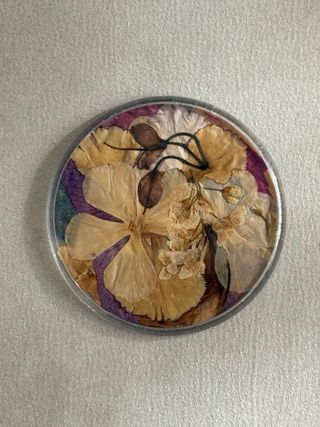 Set 3 Imanes Flores Secas