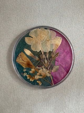 Set 3 Imanes Flores Secas