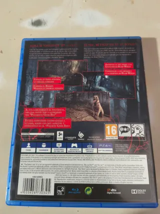 Blair Witch PS4 (PlayStation 4) Gioco di Terrore