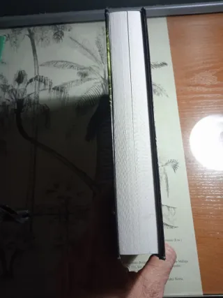 Magia Dorada: (La senda de los dragones, Libro ...