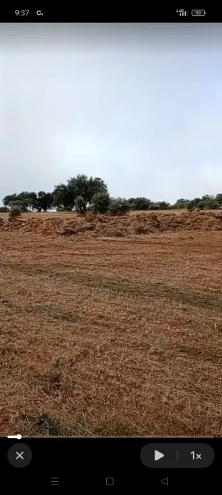 Estiércol, compost y abono natural