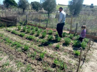 Plazas disponibles en huertos ecológicos Quijorna