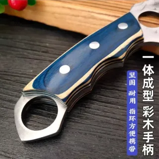 Coltello giapponese SAMEGAWA 鮫皮 per carne e pesce