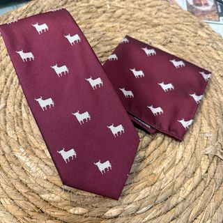 Conjunto Corbata y Pañuelo Osborne