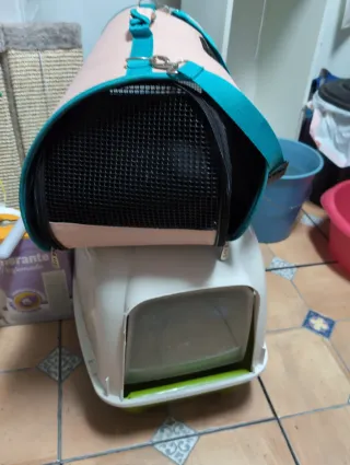 Kit gato: transportín, rascadores y accesorios