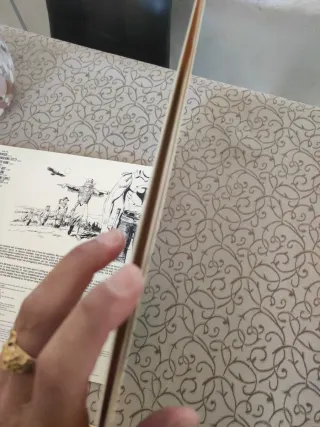 Doppio Vinile 33 Zagor King of Darkwood