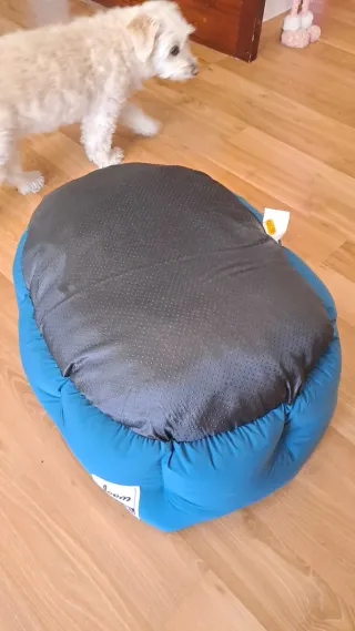 Cama para perros azul y negra