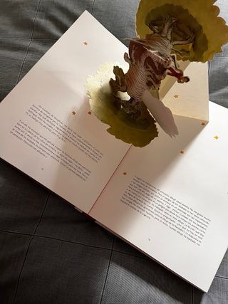 Libro “El principito”