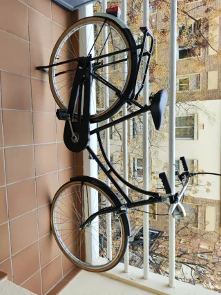 Bicicleta Holandesa Clásica Negra