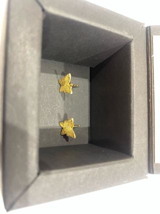 Pendientes Mariposa Oro rustico