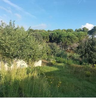 Solar en venta en Santa Eulàlia de Ronçana