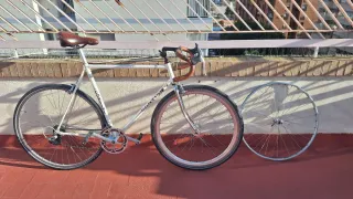 Bicicleta Contini Talla M/L