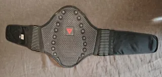 Protezione schiena Dainese moto