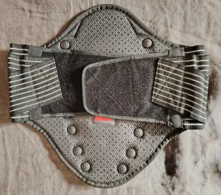 Protezione schiena Dainese moto