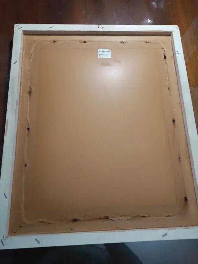 Cuadro Decorativo Mujer Figura