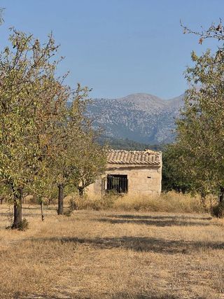 Solar en venta en Gran Via de Colom en Inca