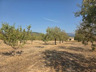 Solar en venta en Gran Via de Colom en Inca