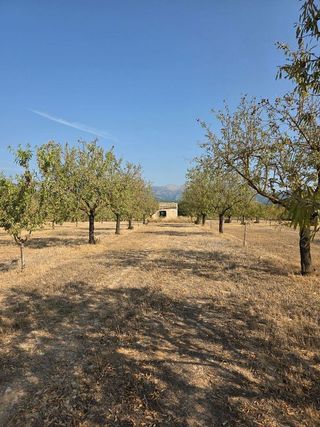 Solar en venta en Gran Via de Colom en Inca