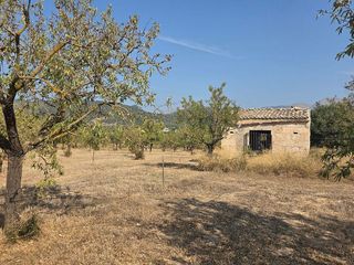 Solar en venta en Gran Via de Colom en Inca