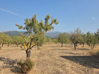 Solar en venta en Gran Via de Colom en Inca