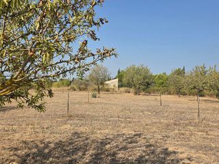 Solar en venta en Gran Via de Colom en Inca