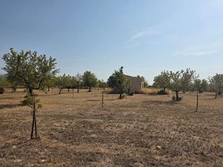 Solar en venta en Gran Via de Colom en Inca