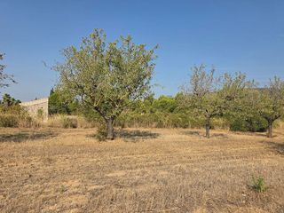 Solar en venta en Gran Via de Colom en Inca