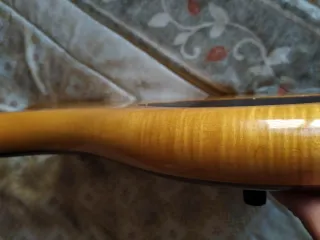 Alembic Elan 5 Cuerdas Bajo