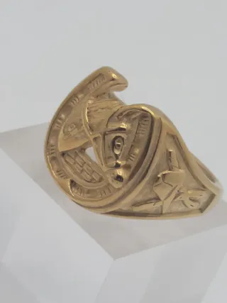 Anillo Herradura Chapado Oro Acero Quirúrgico