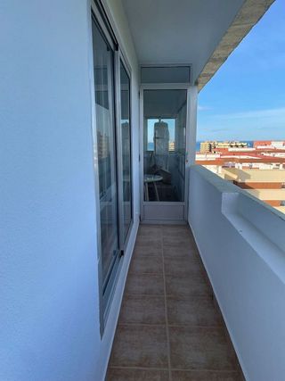 Piso en alquiler en El Palmar en Valencia