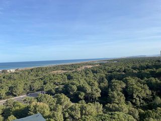 Piso en alquiler en El Palmar en Valencia