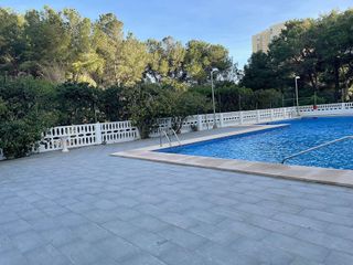 Piso en alquiler en El Palmar en Valencia