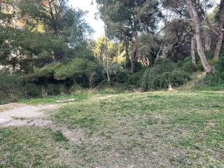 Piso en alquiler en El Palmar en Valencia