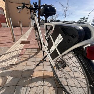 Bici Eléctrica Fischer 250W 2 Baterías