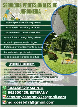 Mantenimiento de jardines Madrid y alrededores.