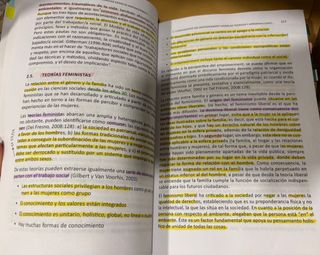 Trabajo Social con Familias desde el empowermen...