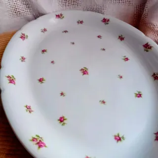 Piatto "Victoria" Porzellan Bohemia  anni'30